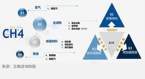 天然氣深加工行業細分領域發展前景淺析及旅游開發項目策劃咨詢